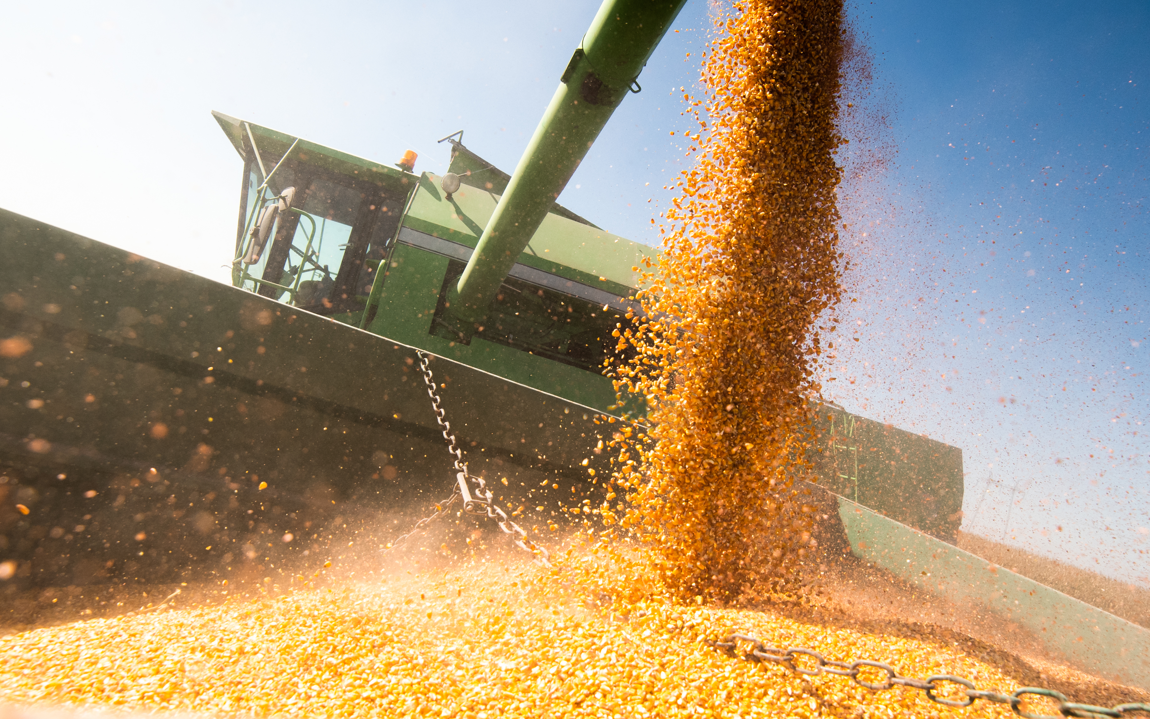 Corn pouring from a combine auger into a grain cart